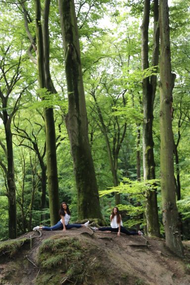 Arteve.de Bäume und Menschen -Natur 