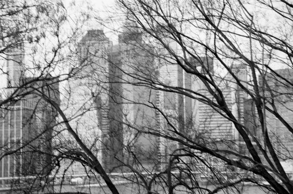 NYC 2000 Eva-M. Horstick